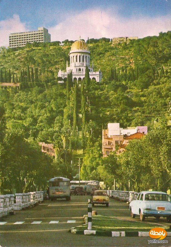 عائدون إلى حيفا: عريفة أسعد الحواشين وسلاح الذاكرة
